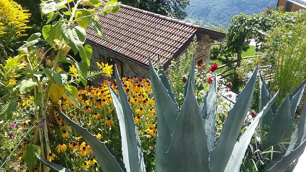 Agriturismo Zertin Gravedona Exterior photo